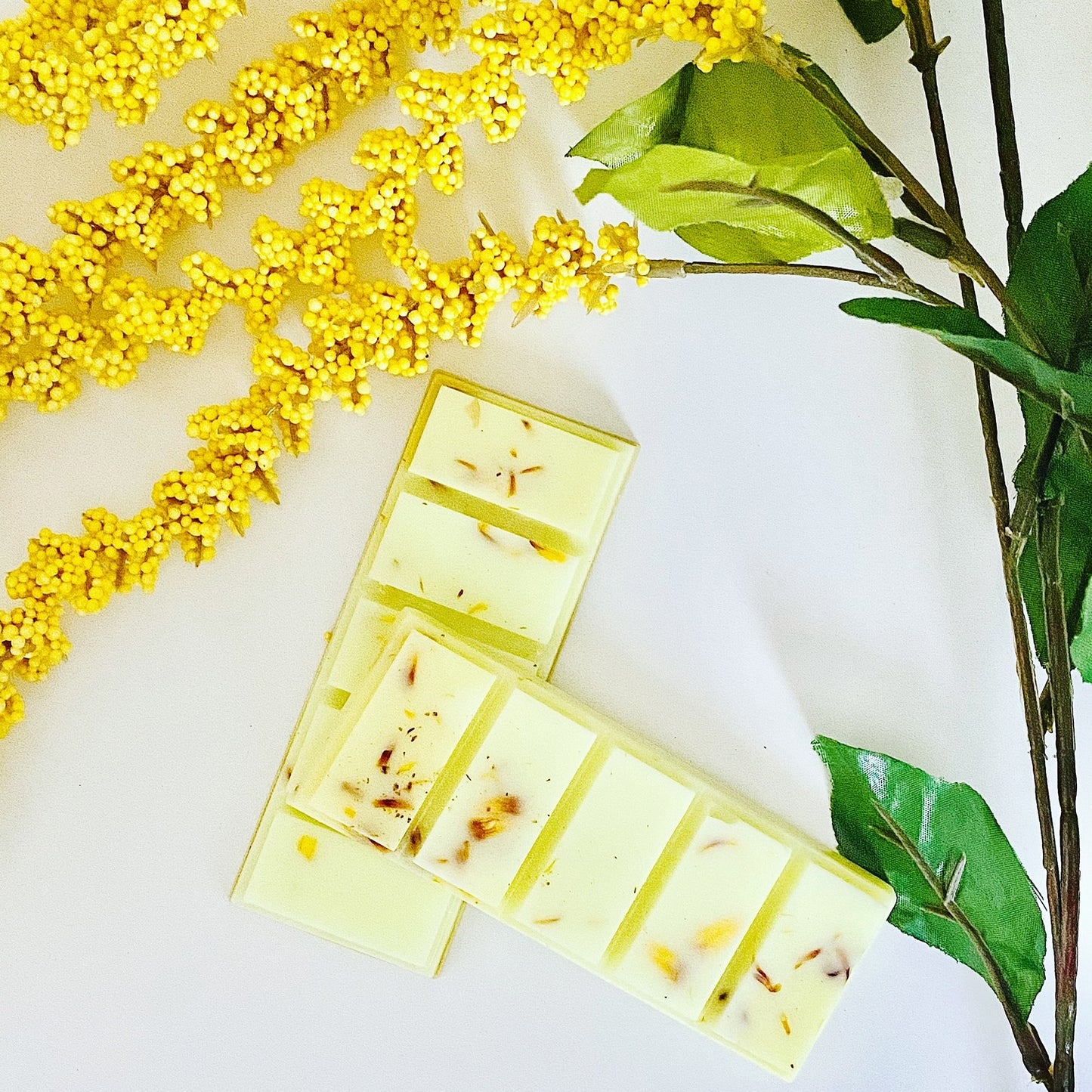 Spring/Summer Collection Snap Bars